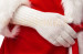 Guanti pesanti di Babbo Natale per il costume Deluxe