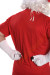 Costume da Babbo Natale in velluto: completo di 13 elementi e 4 accessori